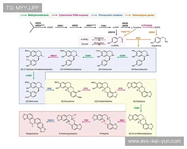 在本季度的技术迭代中 衍生系统实现了与主信号的毫秒级时钟对齐